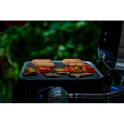 Campingaz Gasgrill Attitude 1200 2go CV -Grillzubehör Campingaz Gasgrill Attitude 1200 2go CV@@1671797 8
