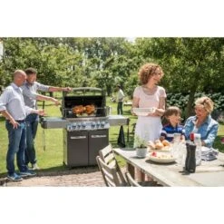 Napoleon Gasgrill Prestige 500 -Grillzubehör Napoleon Gasgrill Prestige 500@@9ggfen0r 15