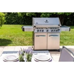 Napoleon Gasgrill Prestige 665 -Grillzubehör Napoleon Gasgrill Prestige 665@@9ggfen1m 17