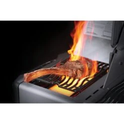 Napoleon Gasgrill Prestige 665 -Grillzubehör Napoleon Gasgrill Prestige 665@@9ggfen1m 4