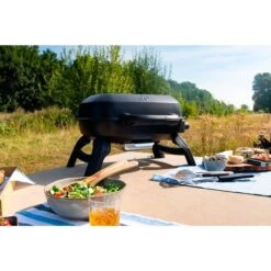 Napoleon Gasgrill TRAVELQ 240 -Grillzubehör Napoleon Gasgrill TRAVELQ 240@@1872821 13