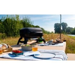 Napoleon Gasgrill TRAVELQ 240 -Grillzubehör Napoleon Gasgrill TRAVELQ 240@@1872821 14
