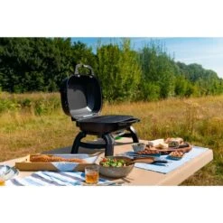 Napoleon Gasgrill TRAVELQ 240 -Grillzubehör Napoleon Gasgrill TRAVELQ 240@@1872821 16