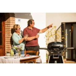 Napoleon Gasgrill TravelQ PRO285 -Grillzubehör Napoleon Gasgrill TravelQ PRO285@@9ggfen0o 10