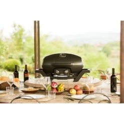 Napoleon Gasgrill TravelQ PRO285 -Grillzubehör Napoleon Gasgrill TravelQ PRO285@@9ggfen0o 13