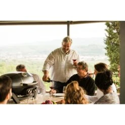 Napoleon Gasgrill TravelQ PRO285 -Grillzubehör Napoleon Gasgrill TravelQ PRO285@@9ggfen0o 14