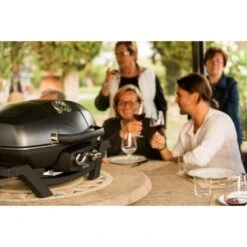 Napoleon Gasgrill TravelQ PRO285 -Grillzubehör Napoleon Gasgrill TravelQ PRO285@@9ggfen0o 15