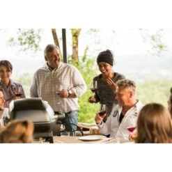 Napoleon Gasgrill TravelQ PRO285 -Grillzubehör Napoleon Gasgrill TravelQ PRO285@@9ggfen0o 16