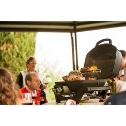 Napoleon Gasgrill TravelQ PRO285 -Grillzubehör Napoleon Gasgrill TravelQ PRO285@@9ggfen0o 17
