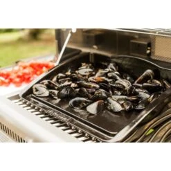 Napoleon Gusseisen-Plancha, Grillplatte 14 Napoleon Gusseisen-Plancha, Grillplatte -Grillzubehör Napoleon Gusseisen Plancha Grillplatte@@9ggzzn0s 5