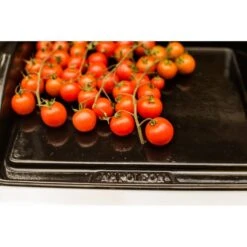 Napoleon Gusseisen-Plancha, Grillplatte 16 Napoleon Gusseisen-Plancha, Grillplatte -Grillzubehör Napoleon Gusseisen Plancha Grillplatte@@9ggzzn0s 7