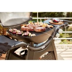 Weber IGrill Pro Messfühler Für Grillgut, Thermometer 32 Weber IGrill Pro Messfühler Für Grillgut, Thermometer -Grillzubehör Weber iGrill Pro Messf hler f r Grillgut Thermometer@@1303168 12