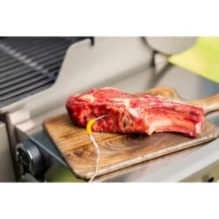 Weber IGrill Pro Messfühler Für Grillgut, Thermometer 28 Weber IGrill Pro Messfühler Für Grillgut, Thermometer -Grillzubehör Weber iGrill Pro Messf hler f r Grillgut Thermometer@@1303168 8
